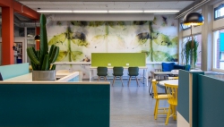 Muurbloem Projects - 