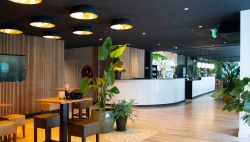 Muurbloem Projects - 