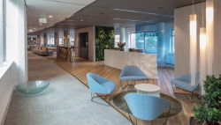 Muurbloem Projects - 