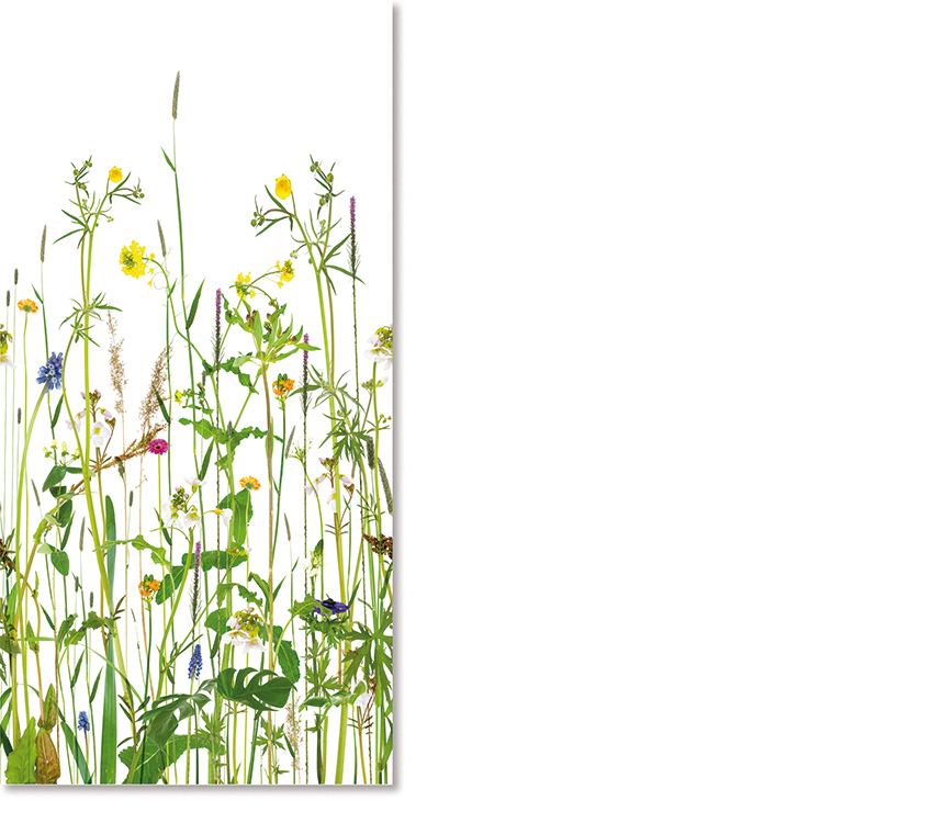 POB_walltextile_Riverside