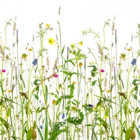 muurbloem moodboardn-afbeelding-125