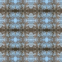 muurbloem moodboardn-afbeelding-131