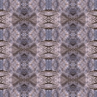 muurbloem moodboardn-afbeelding-66