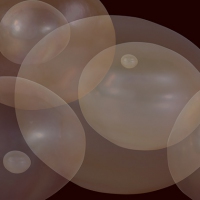 muurbloem moodboardn-afbeelding-31