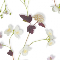 muurbloem moodboardn-afbeelding-127