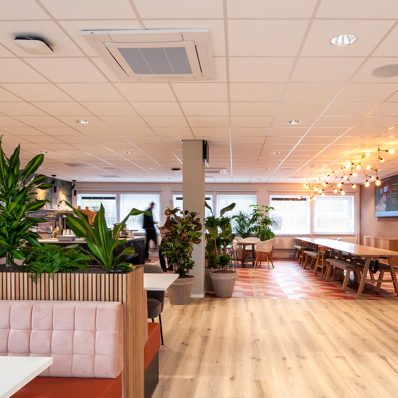 STICHTING CAZAS WONEN [in afwachting van vertaling]