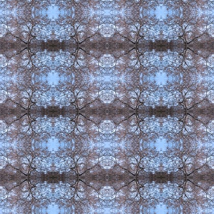 BRANCHING, blue pink