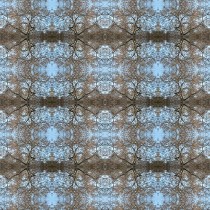 BRANCHING. blue brown