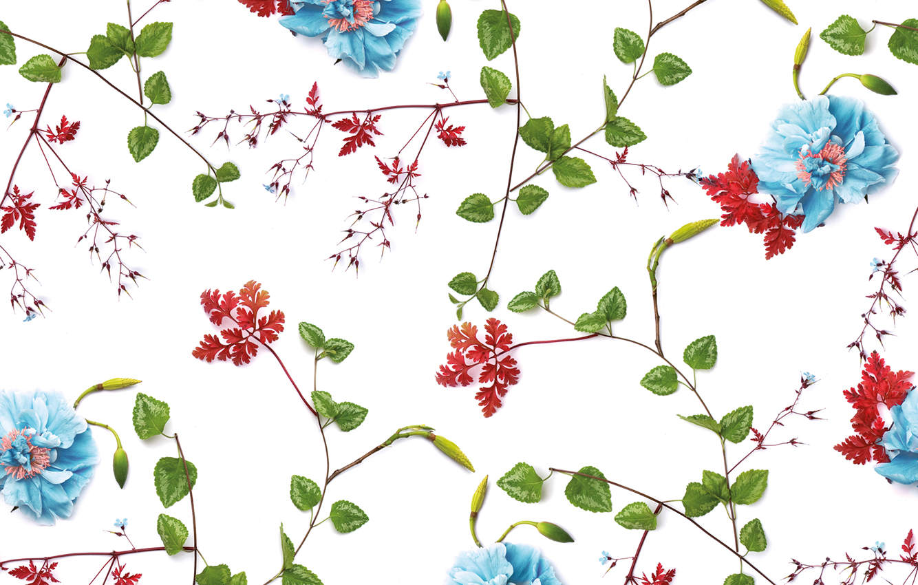 Muurbloem design studio gordijnstoffen collectie flowers+leaves stof marjet pattern view