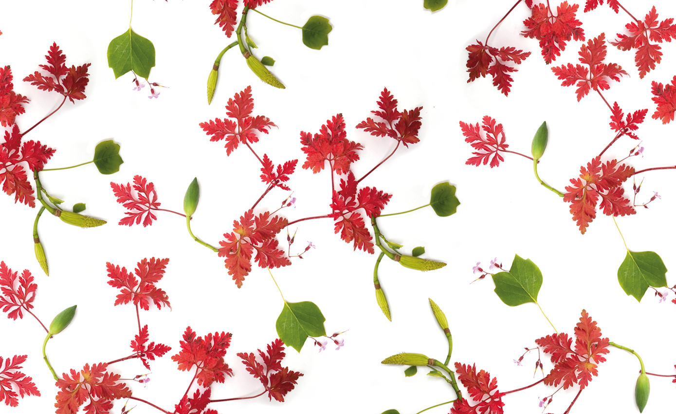 Muurbloem design studio gordijnstoffen collectieflowers + leaves stof nancy pattern view